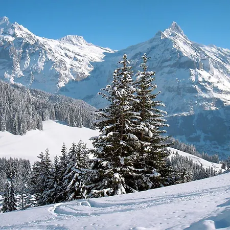 Apartamento Wychel By Interhome *